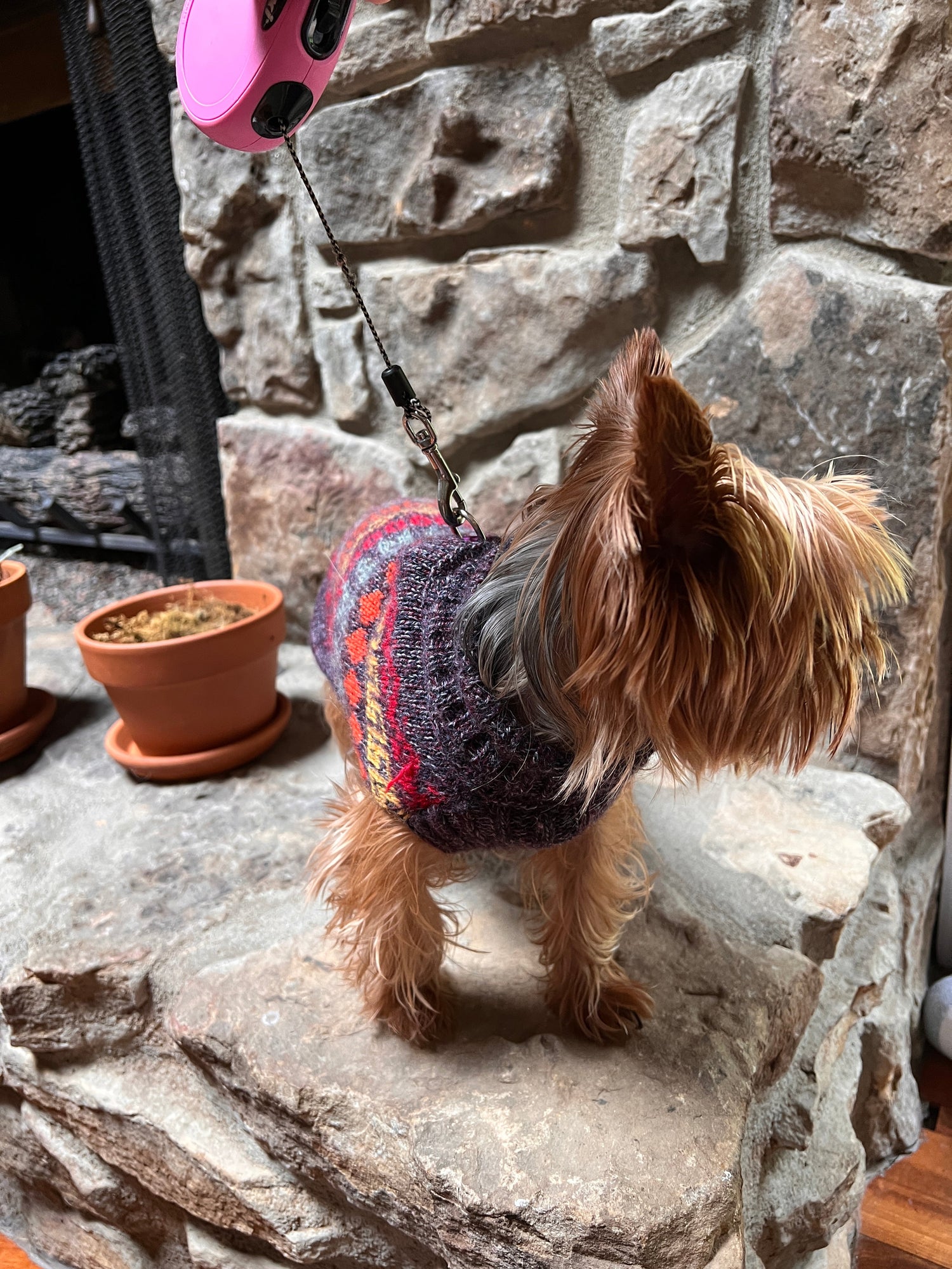 small dog Peruvian NAZCA Alpaca dog sweater. (Size XX0-4)