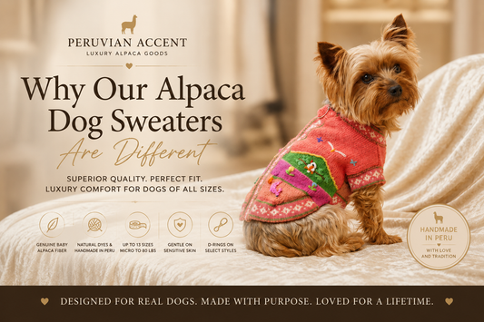 Why Our Alpaca Dog Sweaters Are Different | Luxury Baby Alpaca Dog Sweaters