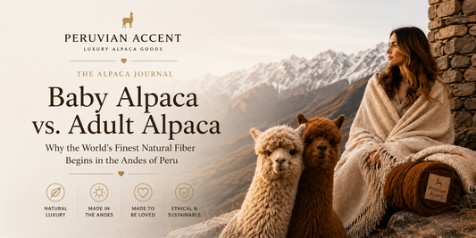 Baby Alpaca vs Adult Alpaca: Why Baby Alpaca Is the World’s Finest Natural Fiber