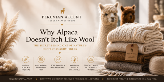 Why Alpaca Doesn't Itch Like Wool | The Truth About Baby Alpaca Fiber