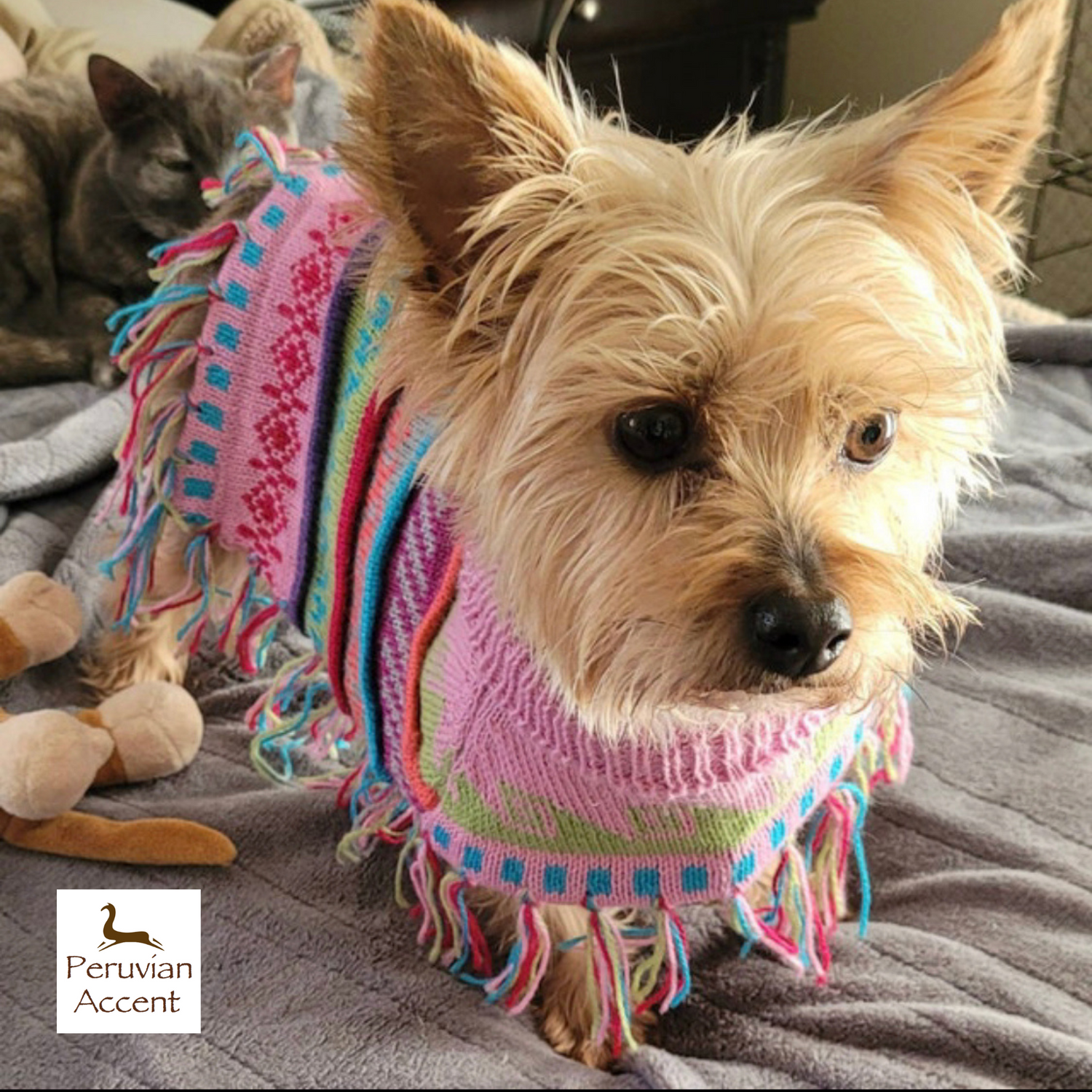 Doggie Alpaca Ponchos