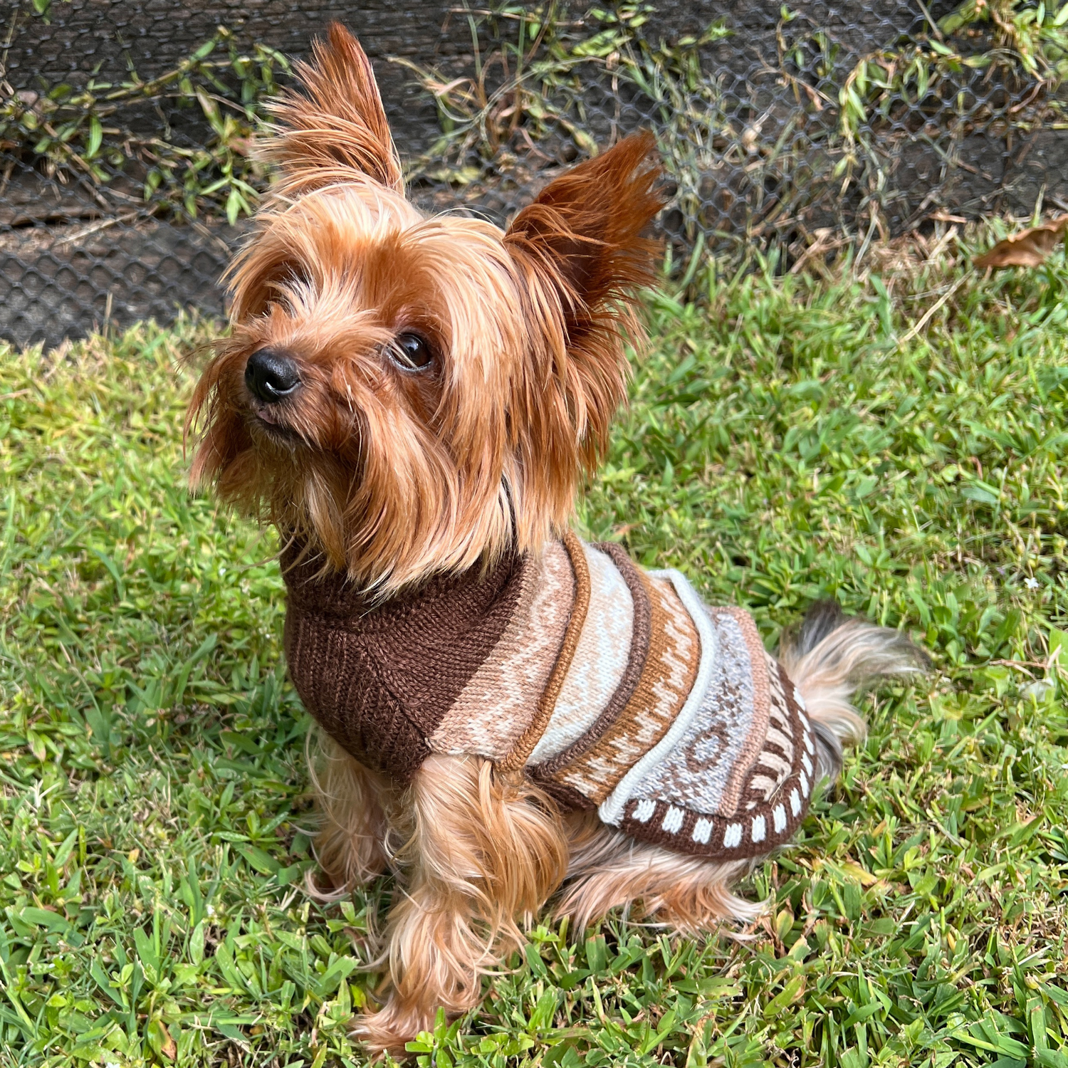 Nazca Style Doggie Sweaters