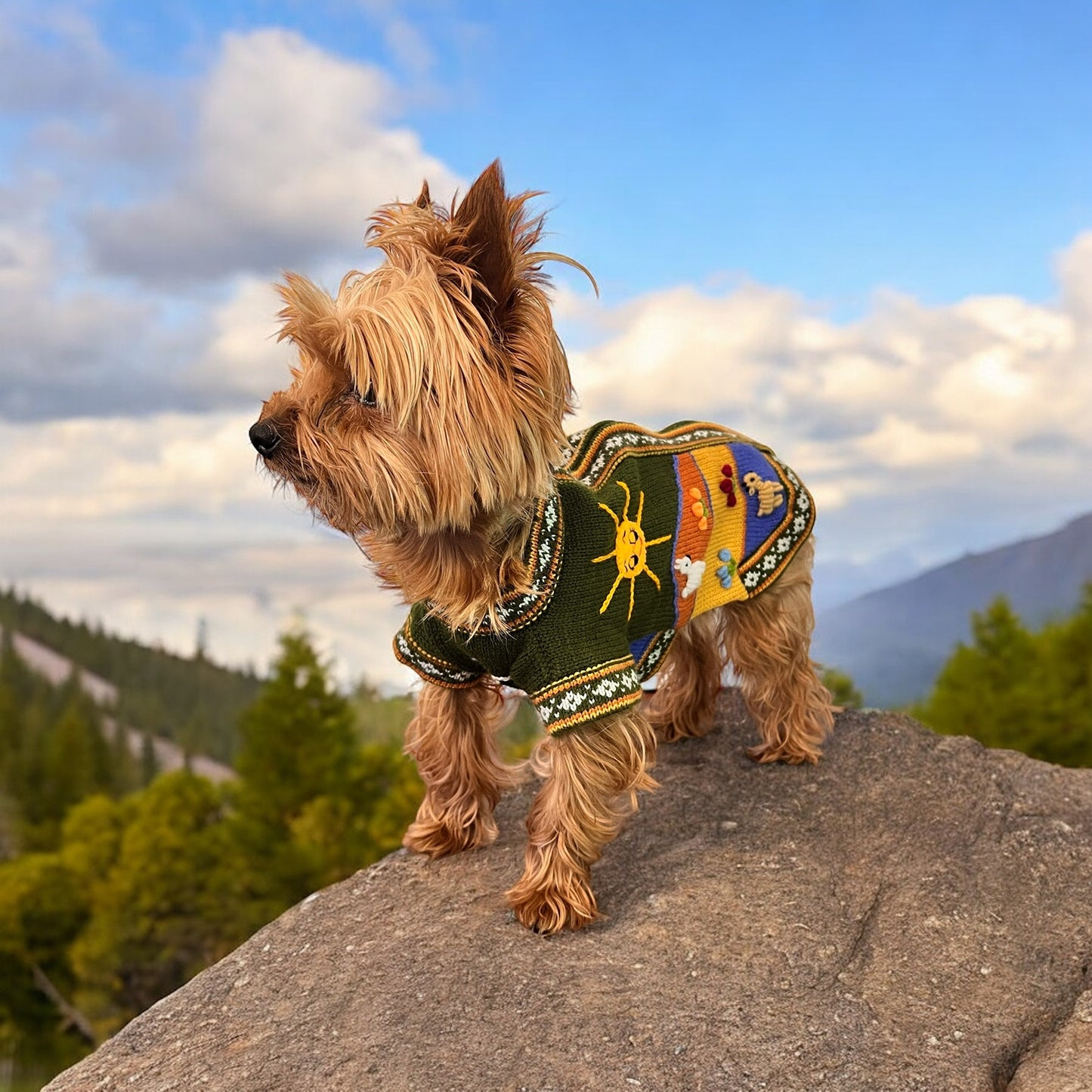 MILITARY GREEN Handmade Peruvian Dog Sweater All Sizes (X0-14)