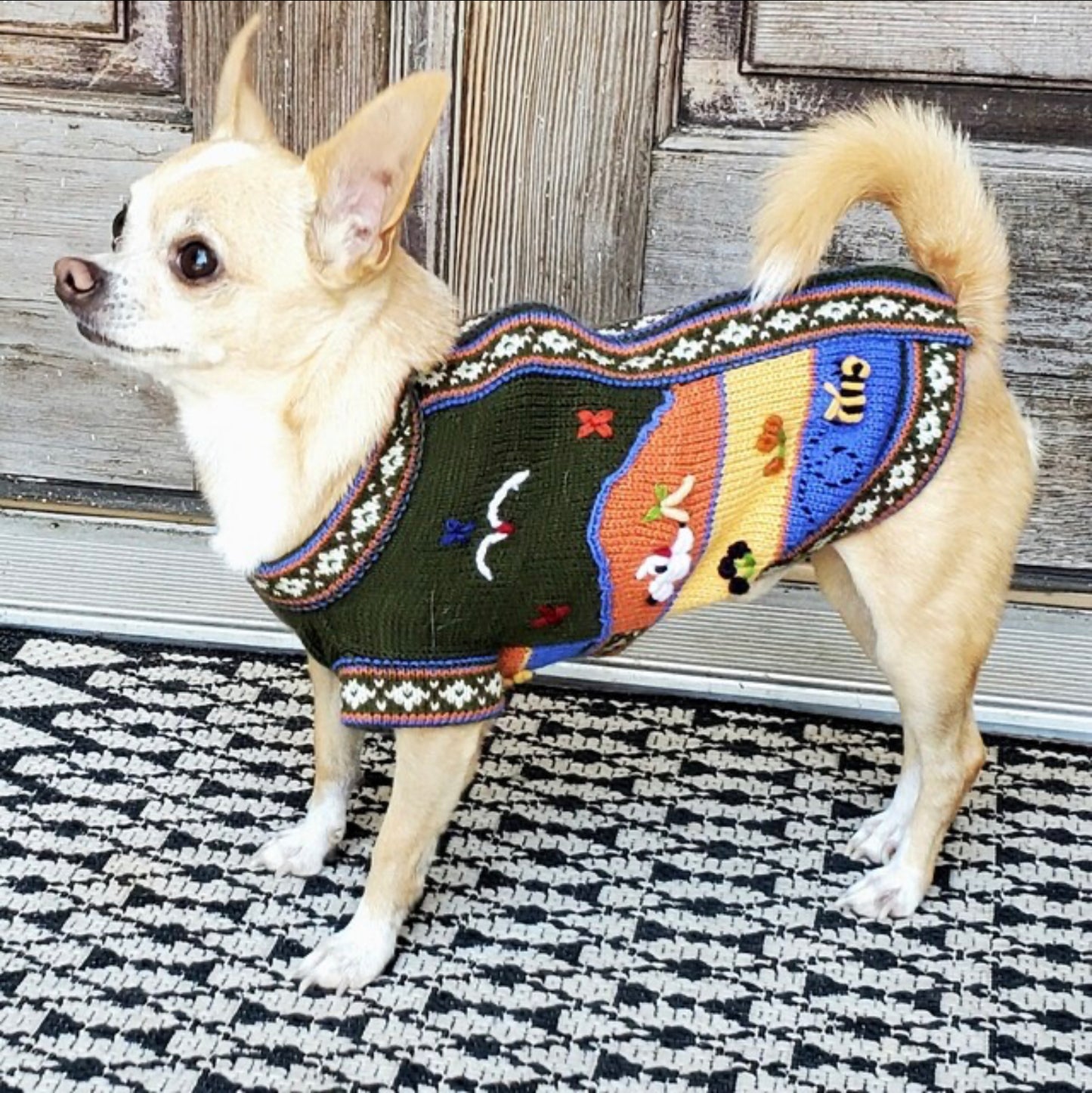 MILITARY GREEN Handmade Peruvian Dog Sweater All Sizes (X0-14)