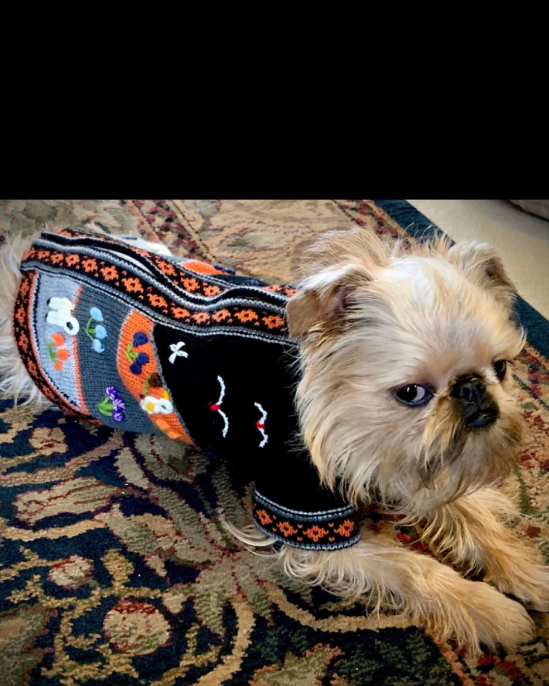 HARLEY COLOR Handmade Peruvian Dog Sweater All Sizes (X0-14)