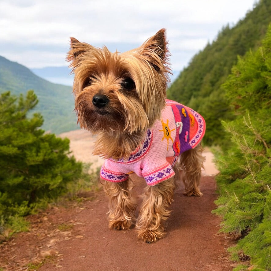 BABY PINK Handmade Peruvian Dog Sweater (ALL SIZES)