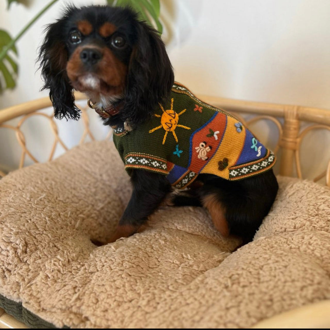 MILITARY GREEN Handmade Peruvian Dog Sweater All Sizes (X0-14)