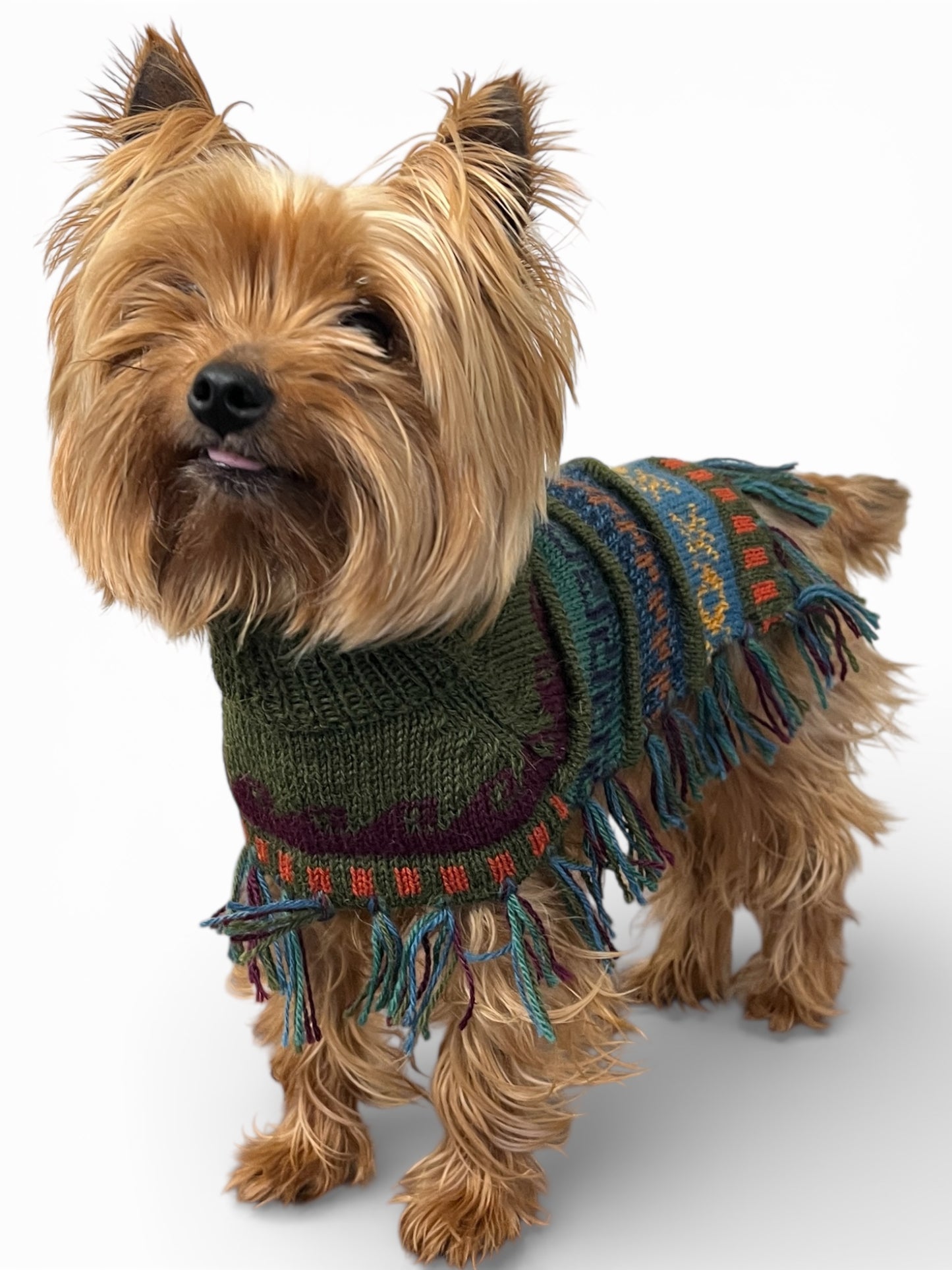 Military Green Alpaca Dog Poncho – Handmade in Peru (Sizes XX0–8)
