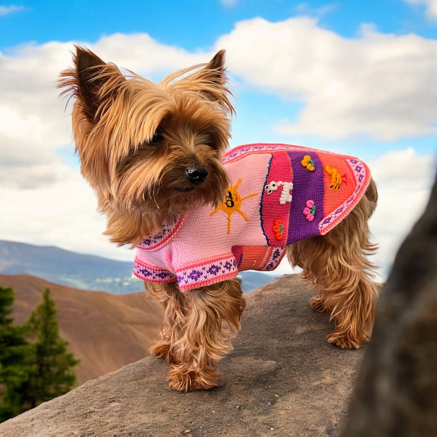 BABY PINK Handmade Peruvian Dog Sweater (ALL SIZES)