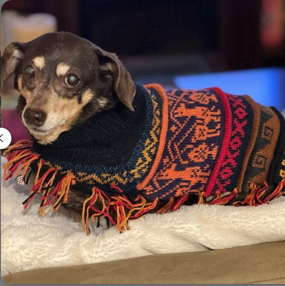 Luxury HARLEY Alpaca dog poncho (sizes X0-20)