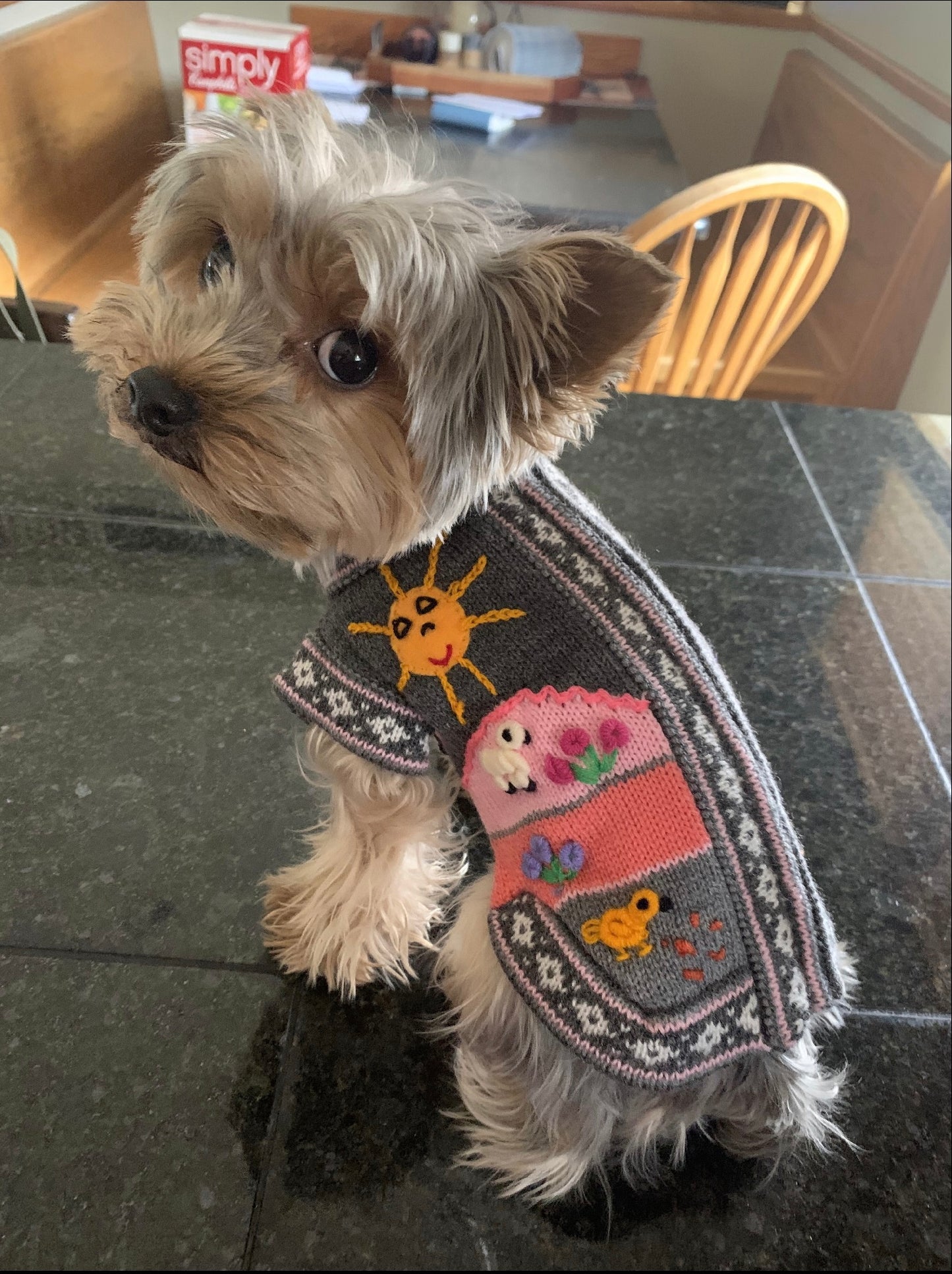 Gray and Pink Handmade Peruvian Dog Sweater (SIZES XX0-14)