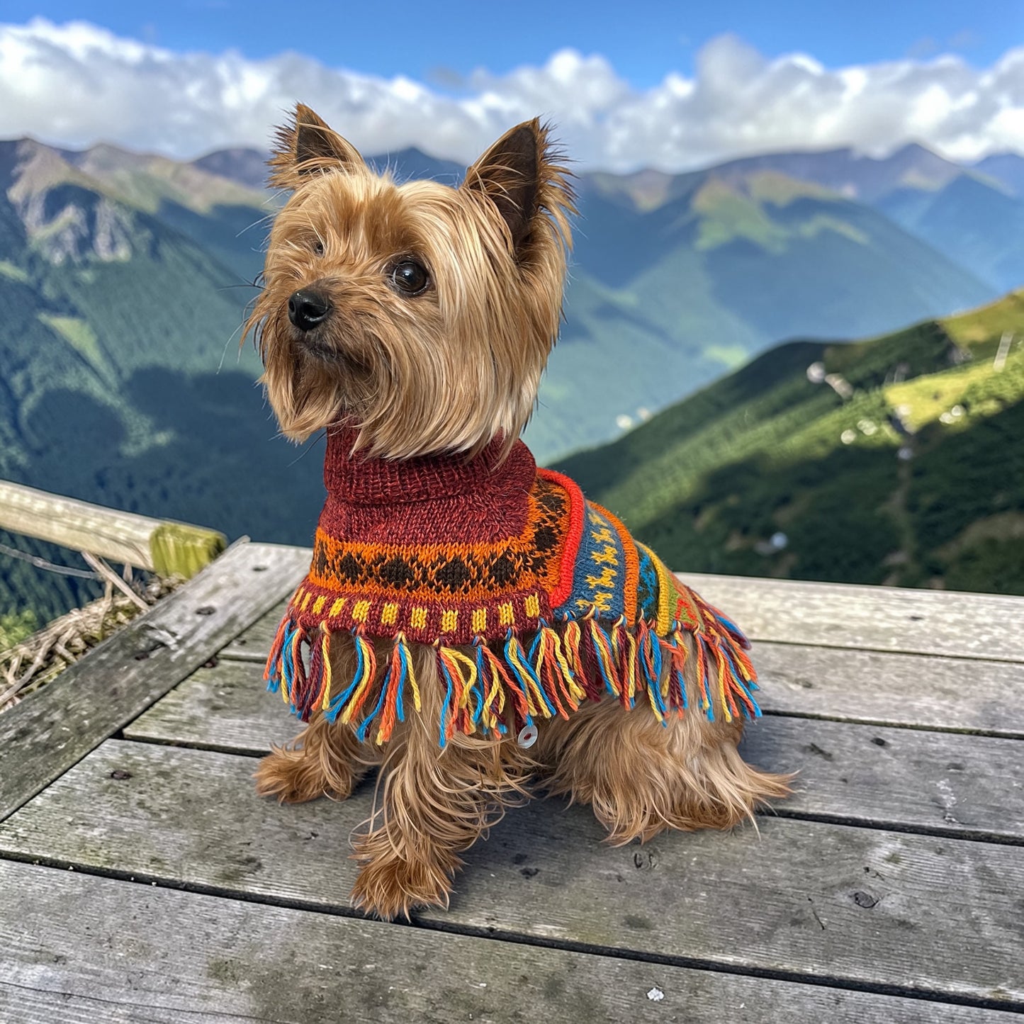 INCA RED Alpaca dog PONCHO SIZE X0-8