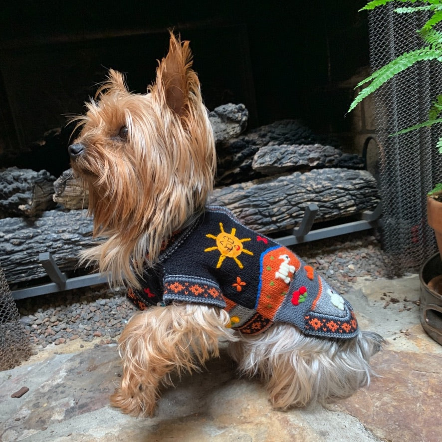 HARLEY COLOR Handmade Peruvian Dog Sweater All Sizes (X0-14)