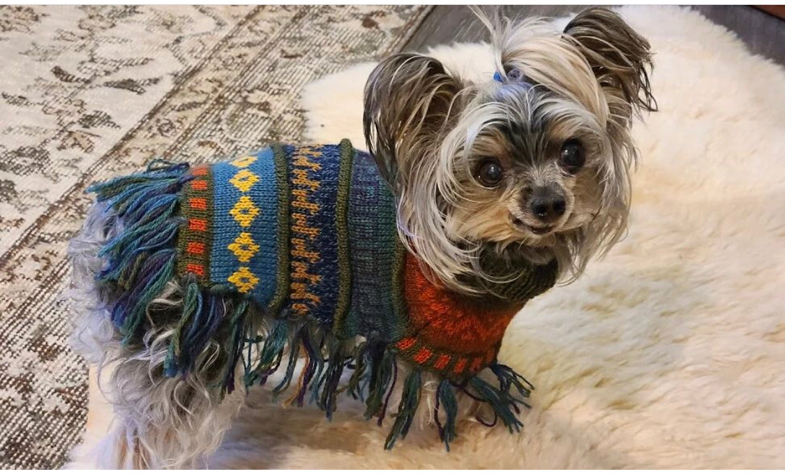 MILITARY GREEN Alpaca dog PONCHO