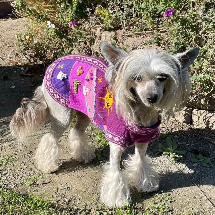 LAVENDER Handmade Peruvian Dog Sweater All Sizes (X0-14)