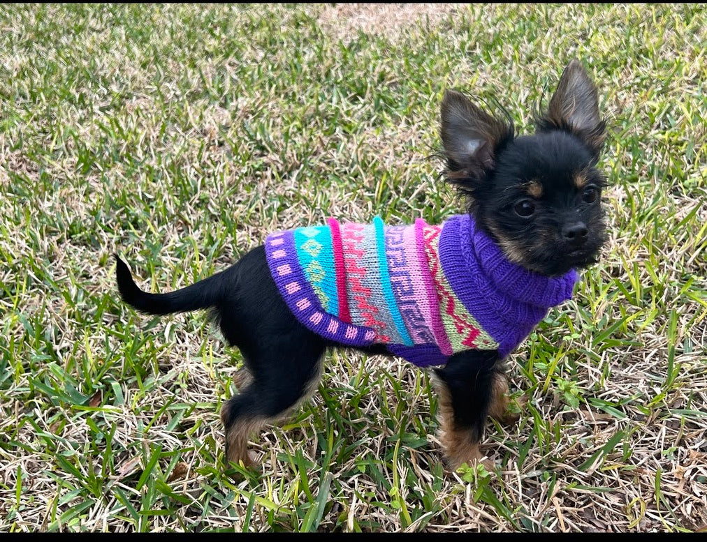 NAZCA Alpaca dog sweater, ROYAL PURPLE (Size XX0-8)