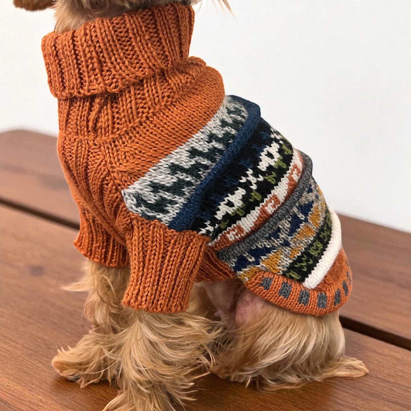 BURNT ORANGE QUARTER SLEEVE DOG SWEATER