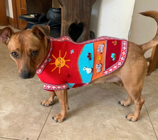 INCA RED zip up dog sweater. (sizes X0-8)