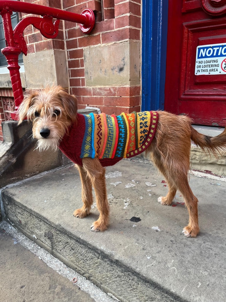 Inca Red Nazca Alpaca dog sweater (Size XX0-8)
