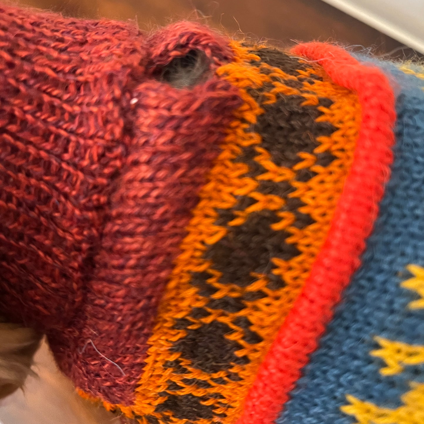 INCA RED Alpaca dog PONCHO SIZE X0-8