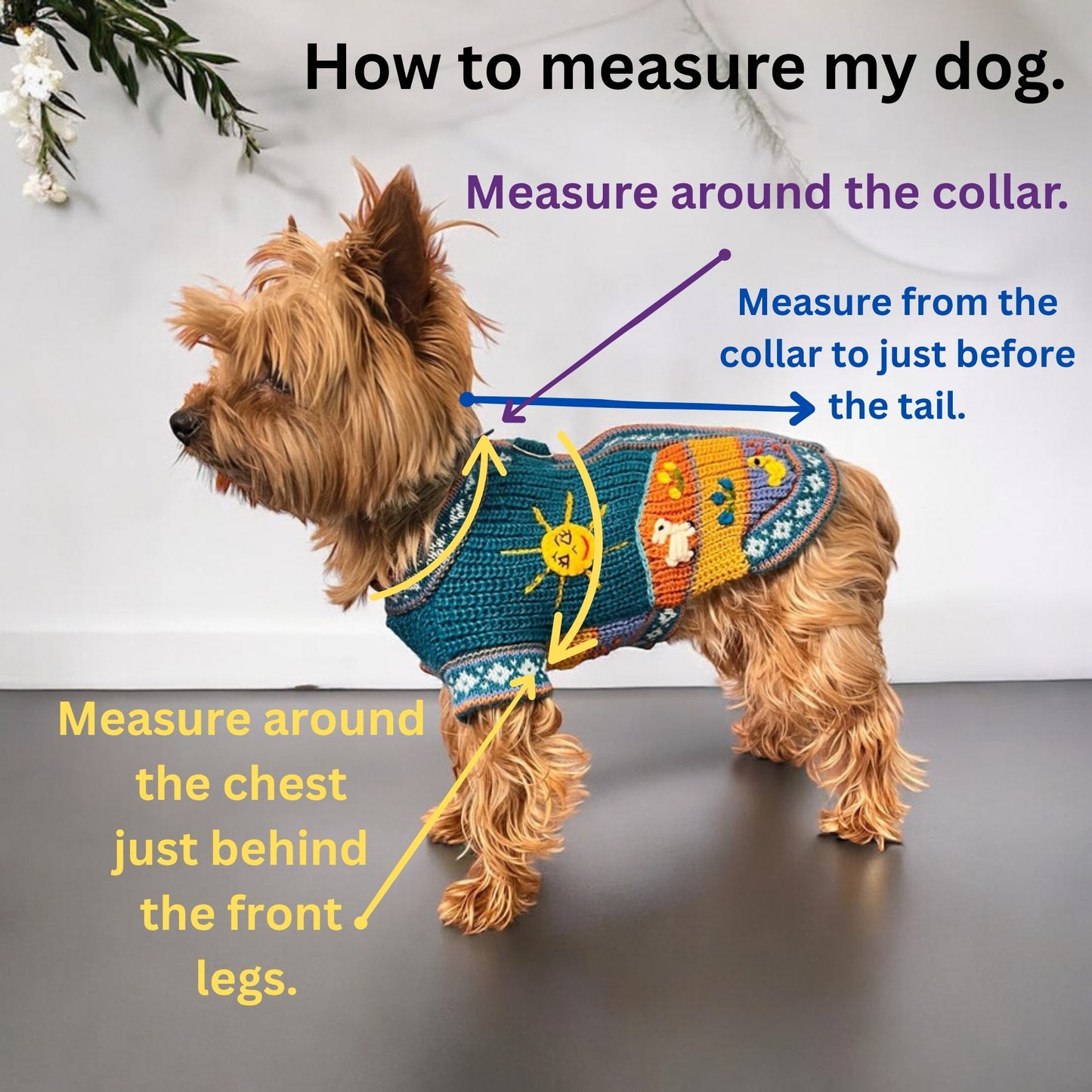 Royal BONE color Zip UP  Dog Sweater All Sizes (XX0-14)