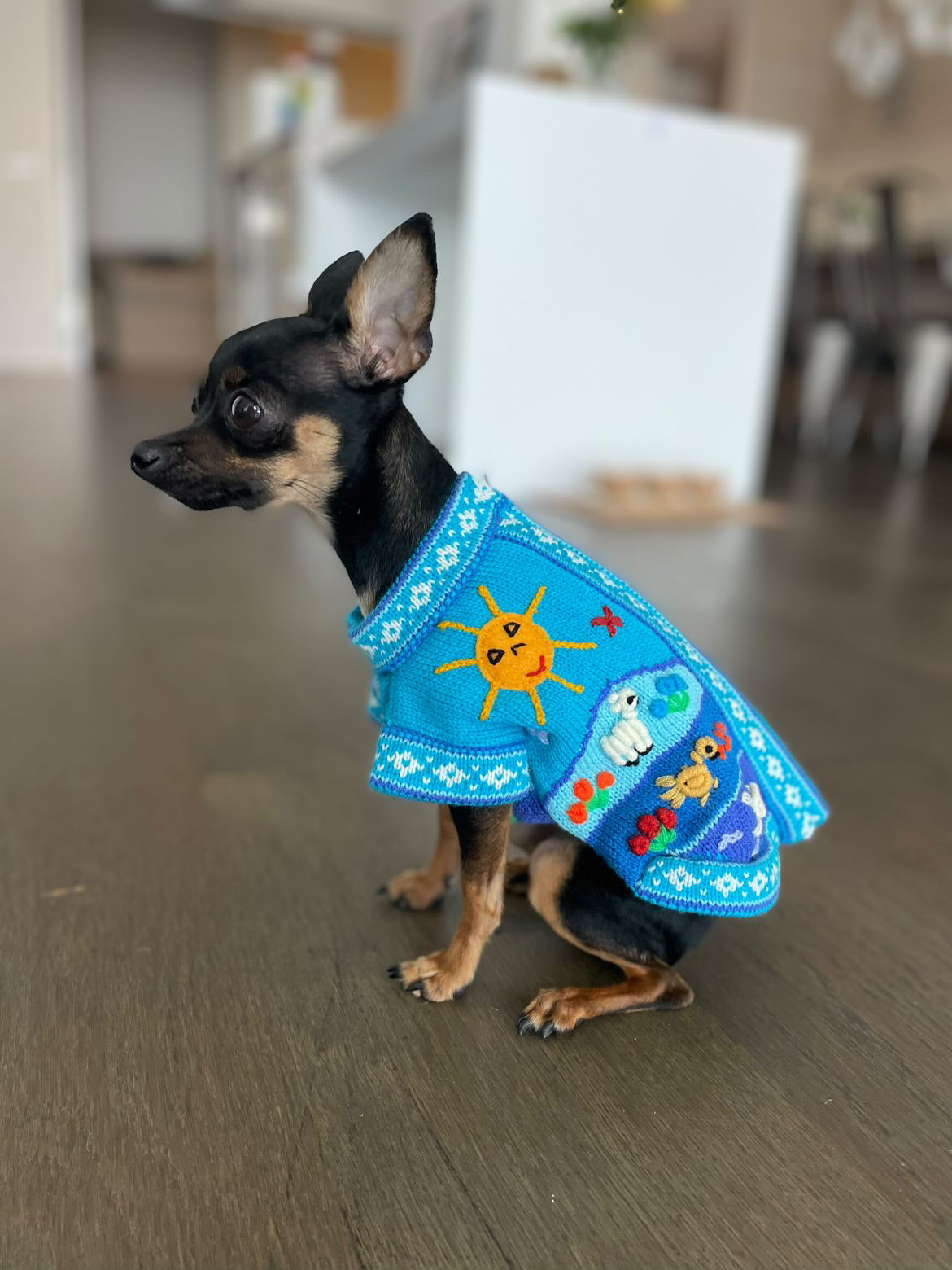 LIGHT BLUE zip up dog sweater. (sizes x0-8)