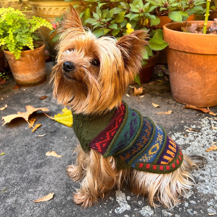 MILITARY Green NAZCA Alpaca sweater for dogs 2lbs - 40 lbs.