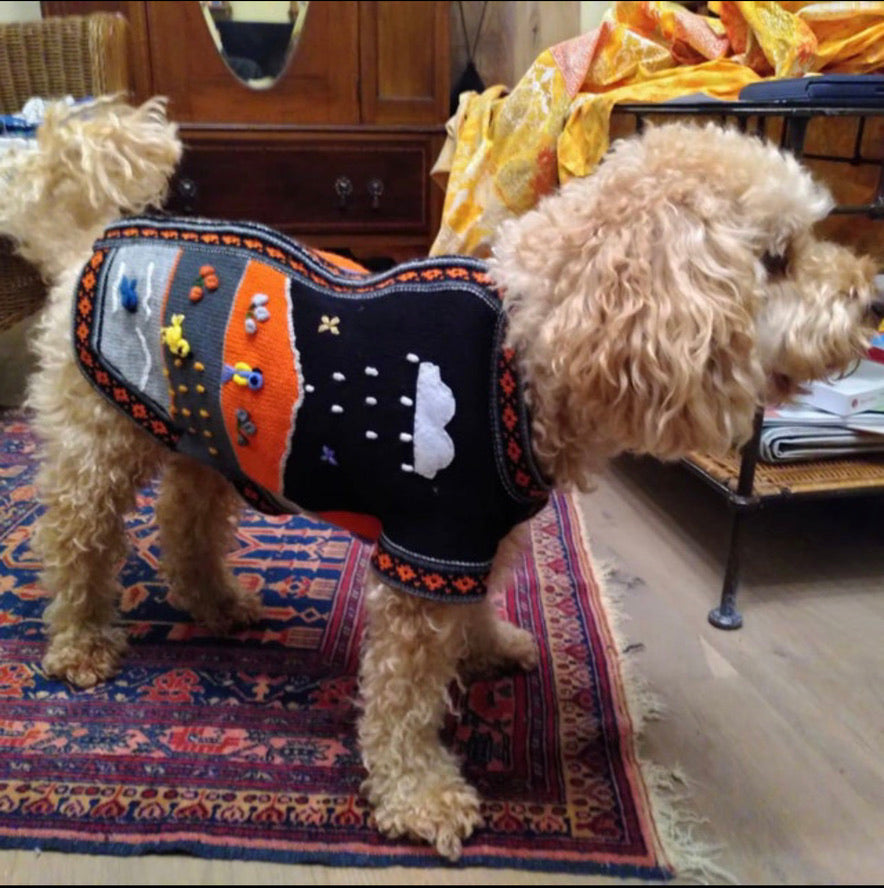 HARLEY COLOR Handmade Peruvian Dog Sweater All Sizes (X0-14)