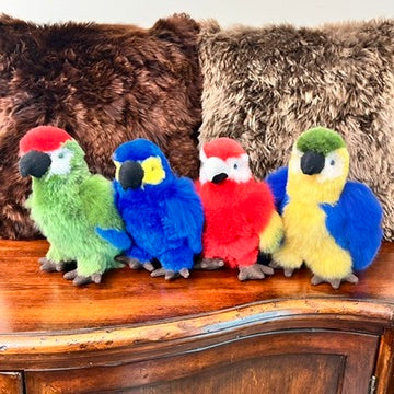 Large Amazon PARROTS