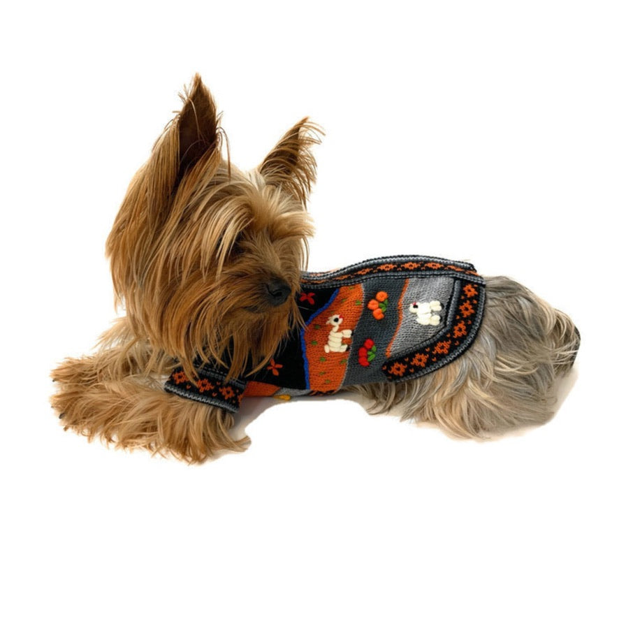 HARLEY COLOR Handmade Peruvian Dog Sweater All Sizes (X0-14)