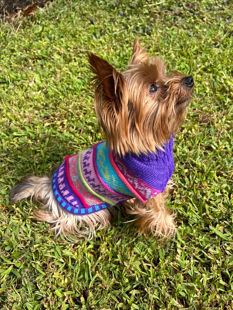 NAZCA Alpaca dog sweater, ROYAL PURPLE (Size XX0-8)