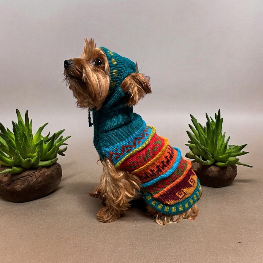 JADE color, Alpaca Luxury Dog HOODIE