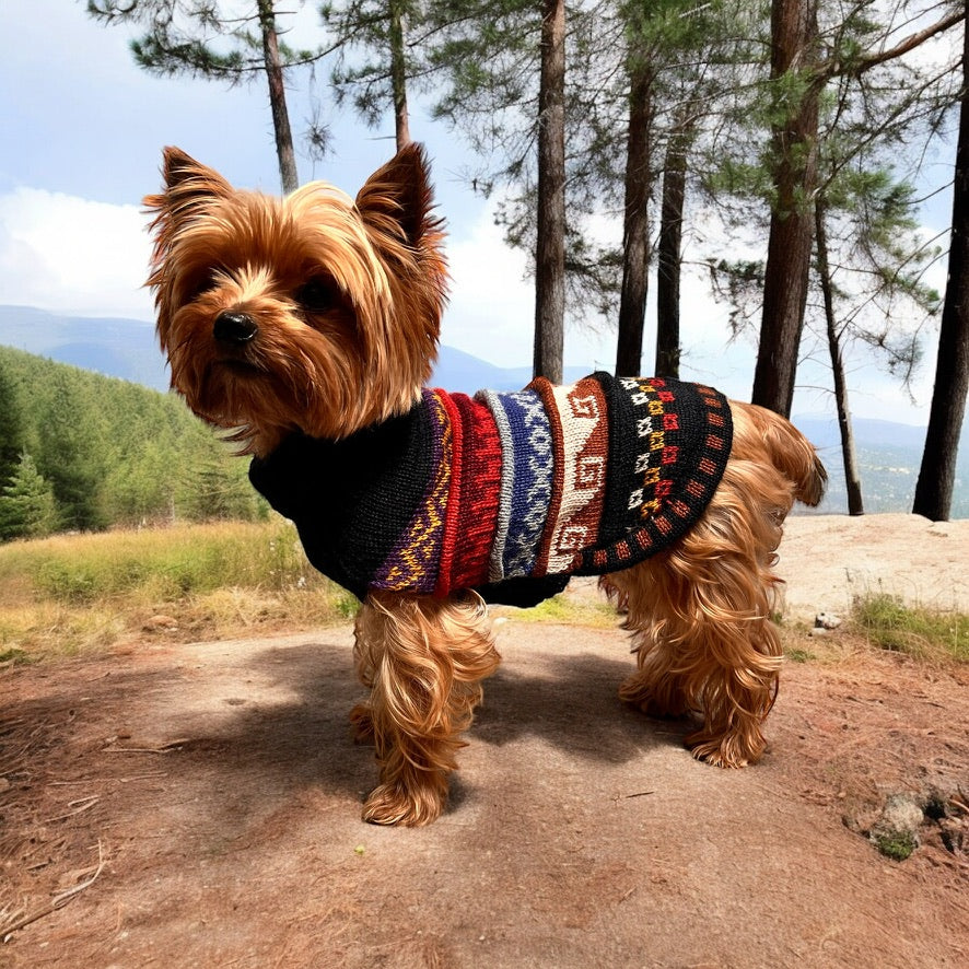 NAZCA Alpaca dog sweater Black Elegance (Size XX0-8)