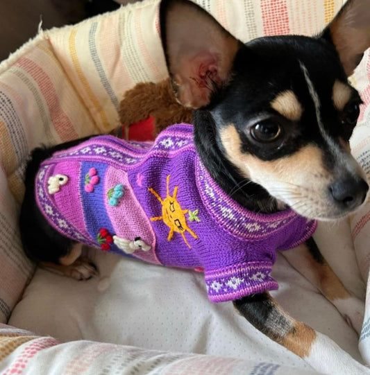 LAVENDER Handmade Peruvian Dog Sweater All Sizes (X0-14)