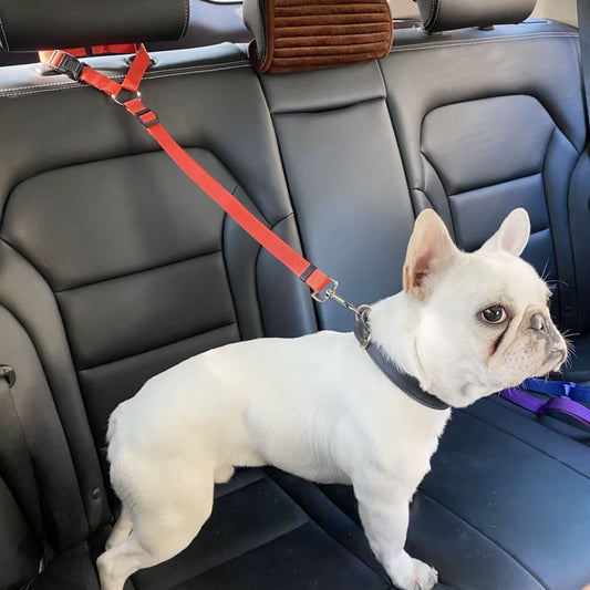 3-in-1 Dog Leash, Seat Harness & Collar