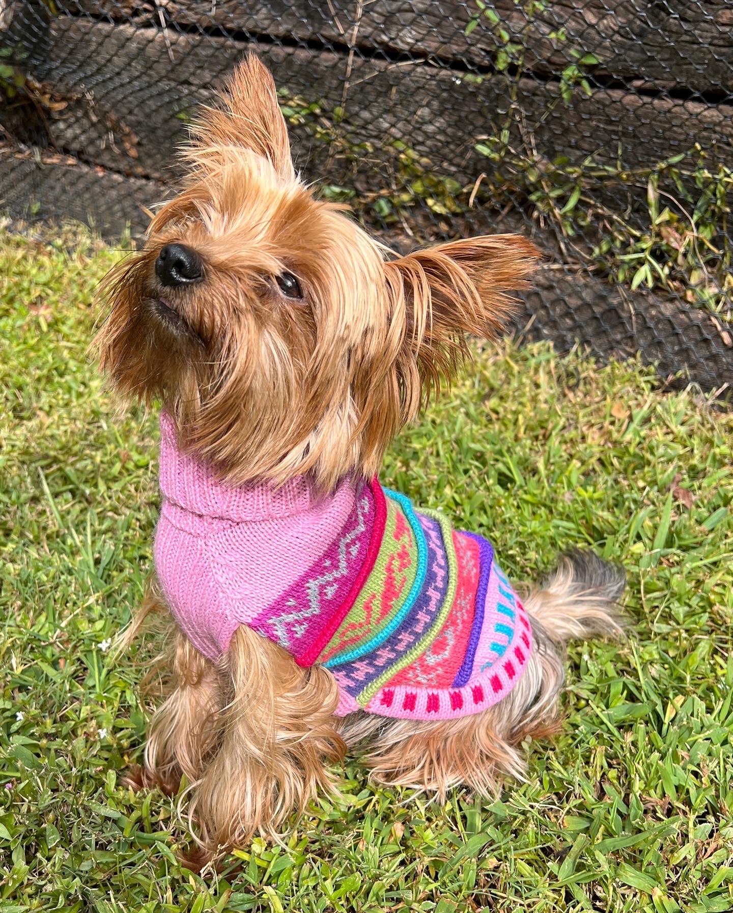 NAZCA Alpaca dog sweater, BABY PINK (Size XX0-8)