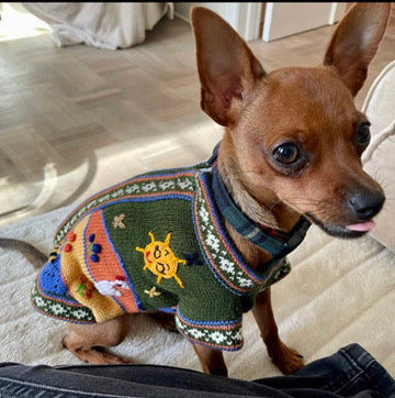 MILITARY GREEN Handmade Peruvian Dog Sweater All Sizes (X0-14)