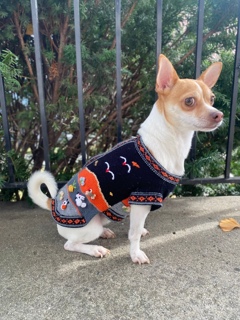 HARLEY COLOR Handmade Peruvian Dog Sweater All Sizes (X0-14)