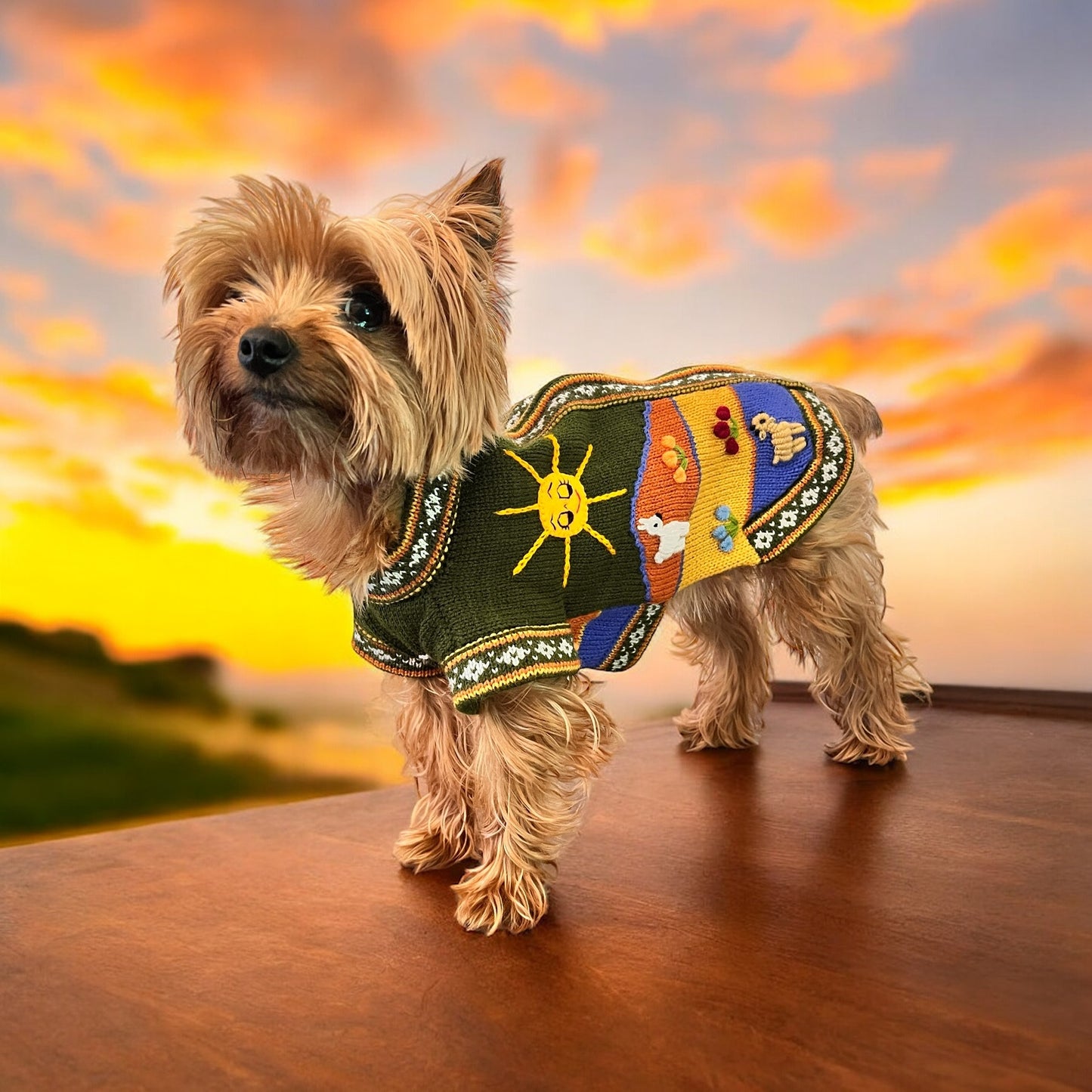 MILITARY GREEN Handmade Peruvian Dog Sweater All Sizes (X0-14)