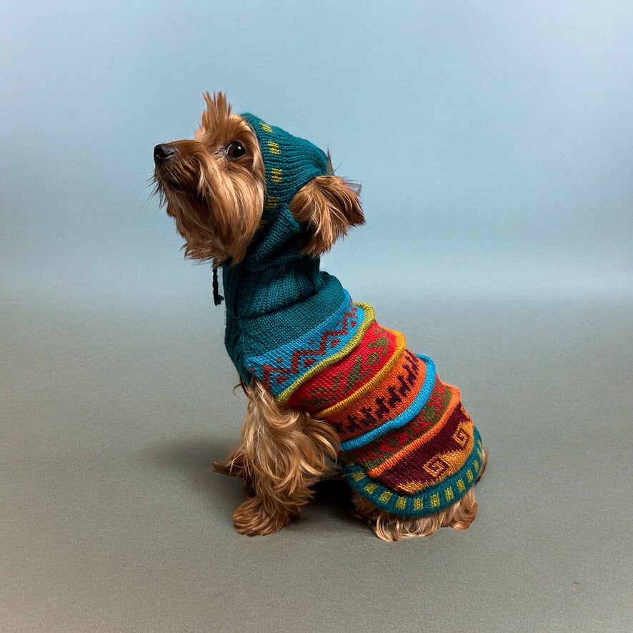 JADE color, Alpaca Luxury Dog HOODIE