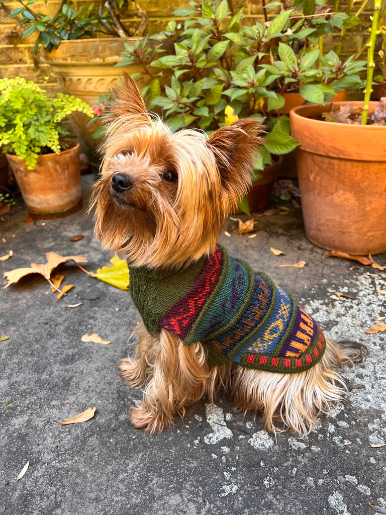 MILITARY Green NAZCA Alpaca sweater for dogs 2lbs - 40 lbs.