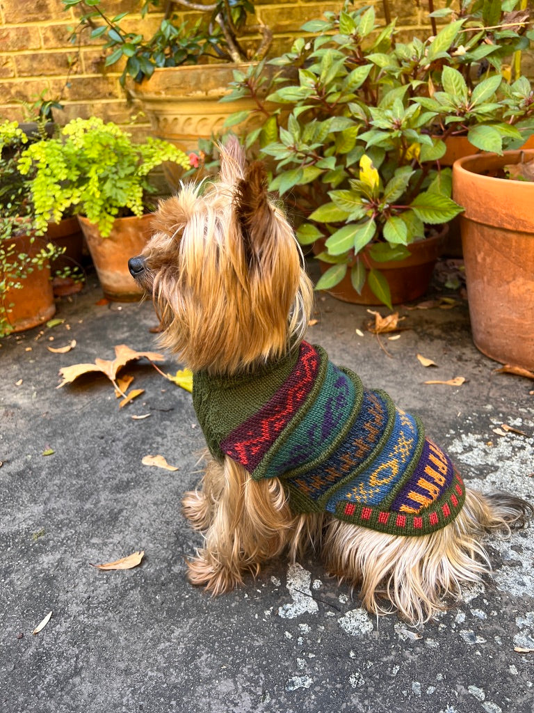 MILITARY Green NAZCA Alpaca sweater for dogs 2lbs - 40 lbs.