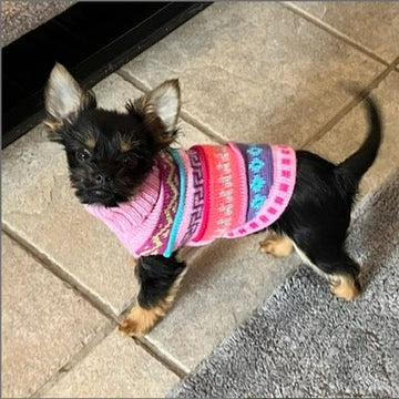 NAZCA Alpaca dog sweater, BABY PINK (Size XX0-8)