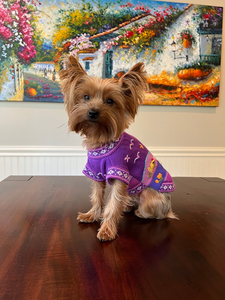 LAVENDER Handmade Peruvian Dog Sweater All Sizes (X0-14)