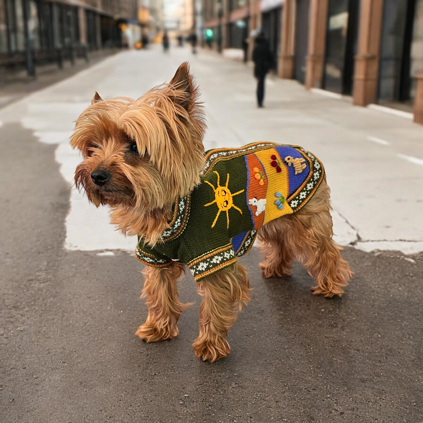 MILITARY GREEN Handmade Peruvian Dog Sweater All Sizes (X0-14)