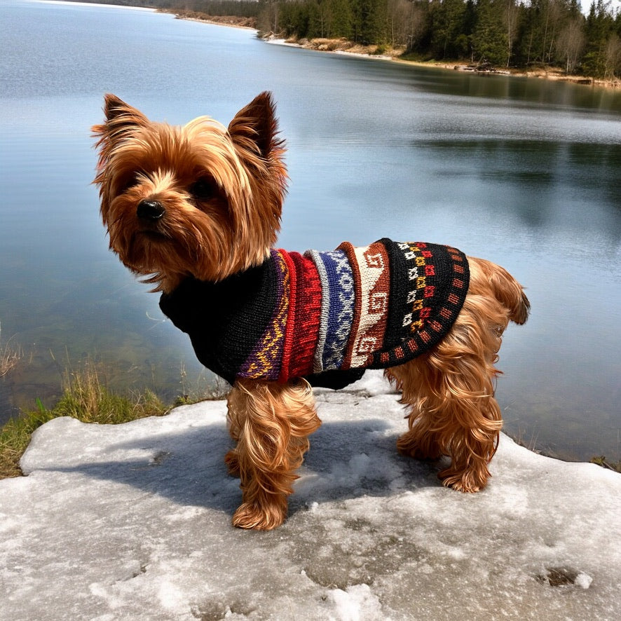 NAZCA Alpaca dog sweater Black Elegance (Size XX0-8)