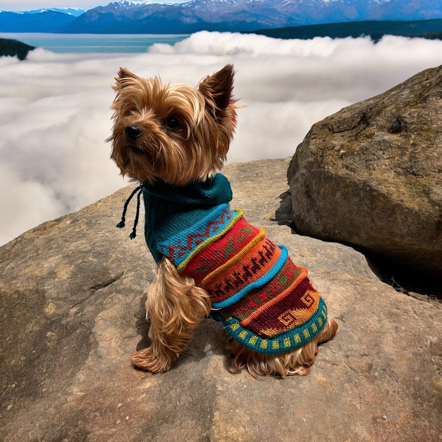 JADE color, Alpaca Luxury Dog HOODIE