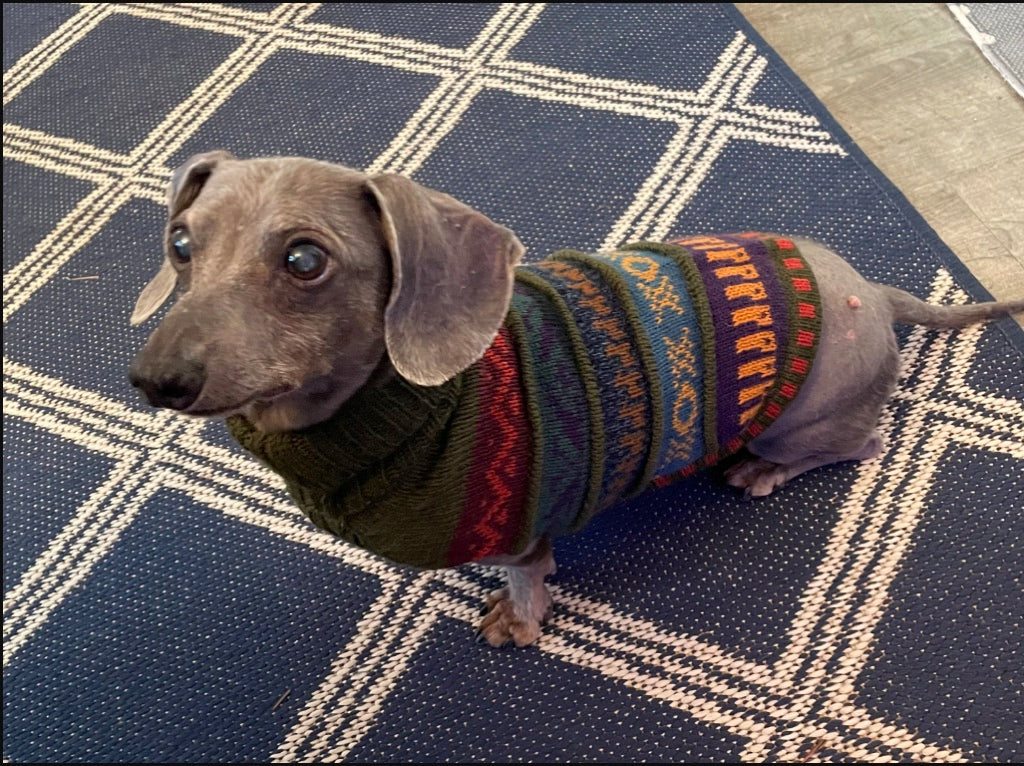 MILITARY Green NAZCA Alpaca sweater for dogs 2lbs - 40 lbs.