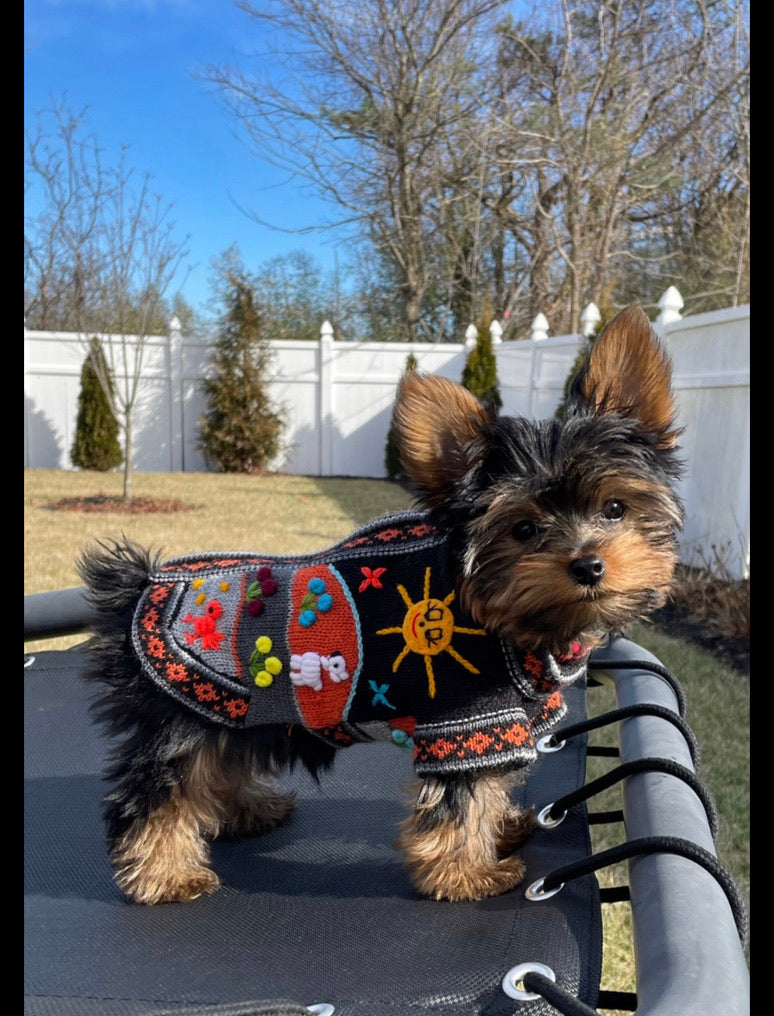 HARLEY COLOR Handmade Peruvian Dog Sweater All Sizes (X0-14)