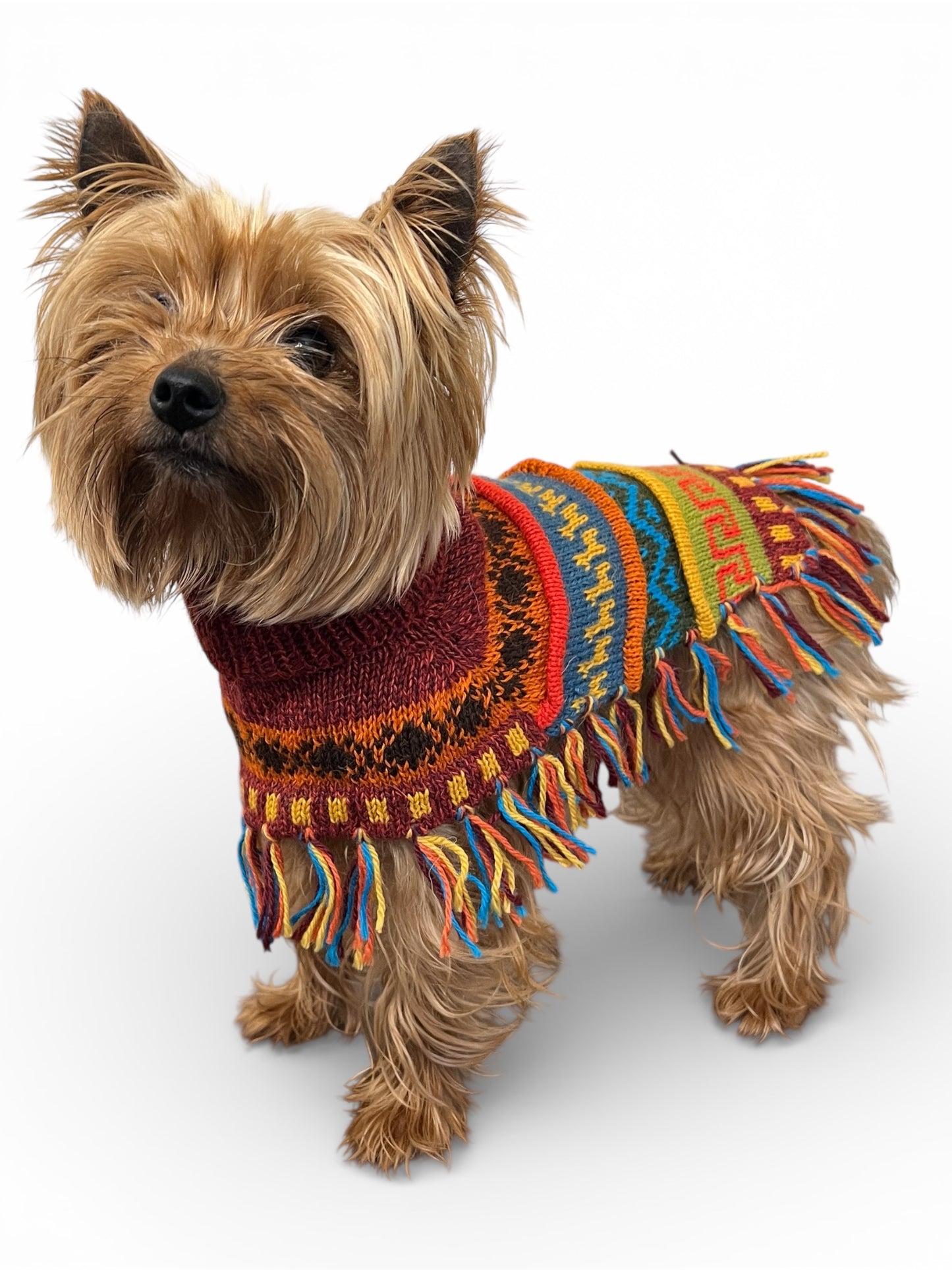INCA RED Alpaca dog PONCHO SIZE X0-8